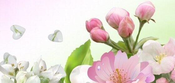 Liliyastore